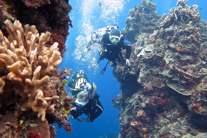 Open Water Diver course PADI in Cancun - Four open-water sessions and the 18-meter limit