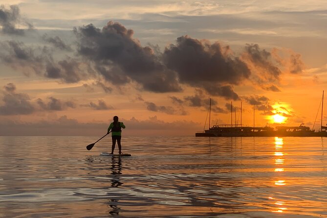 Paddle Board at Sunrise or Sunset in Cancun - Who Will Enjoy This Most?