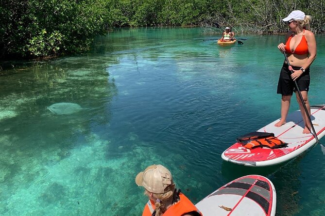 Paddleboard Kayak Tour in Cancun - Paddling into Nichupté Lagoon