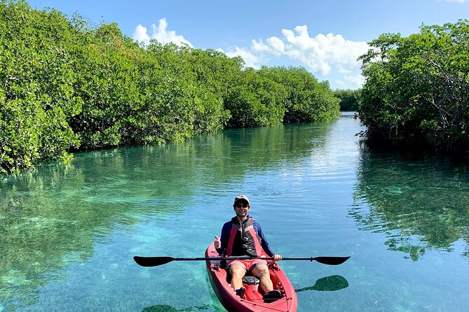 Paddleboard Kayak Tour in Cancun - Morning timing and the workout factor