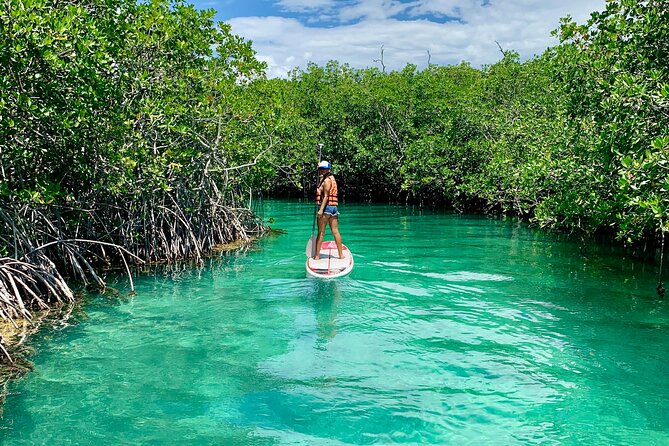 Paddleboard Kayak Tour in Cancun - What is included, and what you need to bring