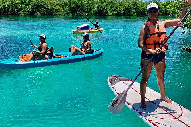 Paddleboard Kayak Tour in Cancun - Mangrove tunnels and wildlife along the route