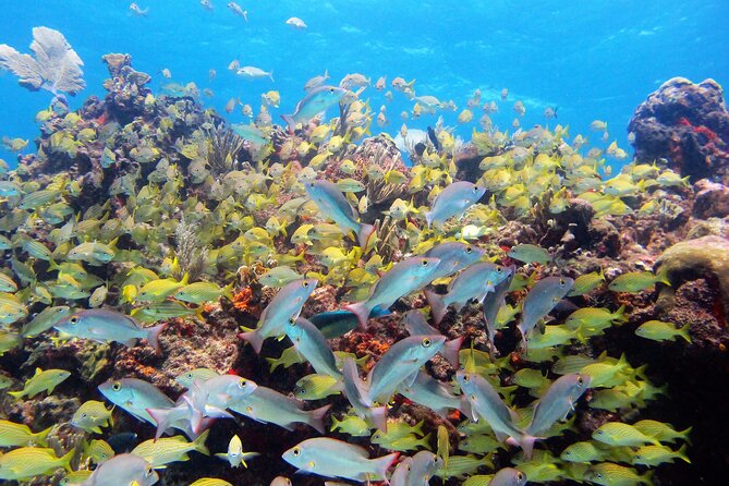 PADI Discover Scuba Diving for divers without certification - How the five-hour schedule works