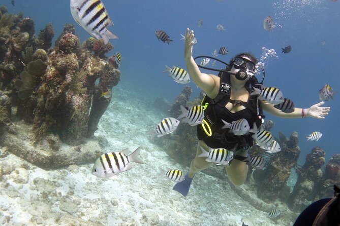 PADI Discover Scuba Diving for divers without certification - What makes the guide support important