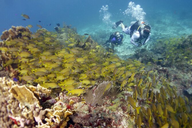 PADI Discover Scuba Diving for divers without certification - Practical details before you book