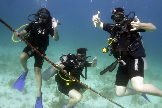 PADI Discover Scuba Diving for divers without certification - What the instruction means for a beginner