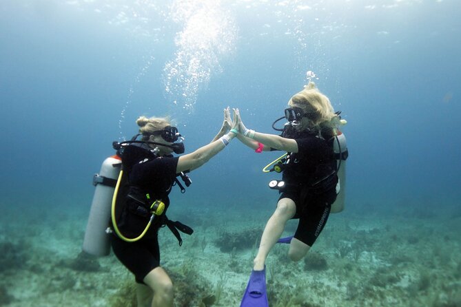 PADI Open Water Diver Course - Why MUSA makes this first course memorable