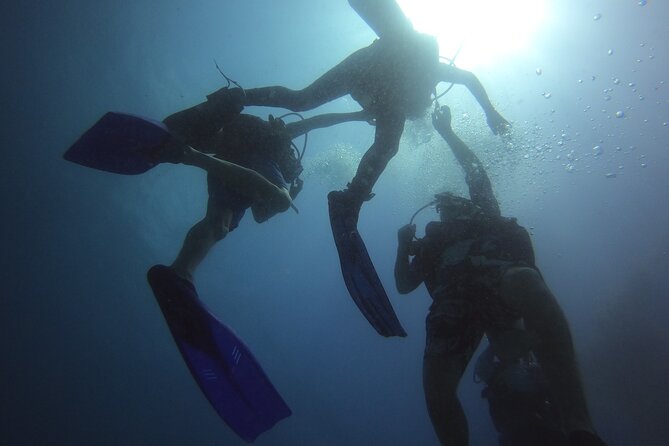 PADI Open Water Diving Certification Course Activity - MUSA: an unusual place to learn