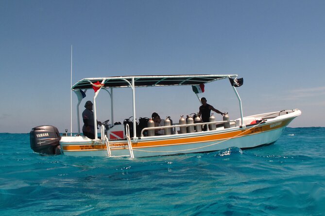 PADI Open Water Diving Certification Course Activity - Isla Mujeres and the Caribbean sessions