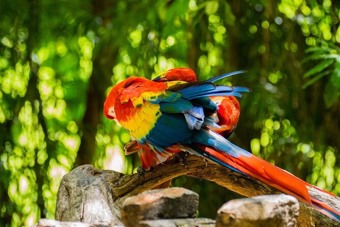 Park Xcaret Plus with Transportation from Cancun and Riviera Maya - Mexican culture and the México Espectacular presentation