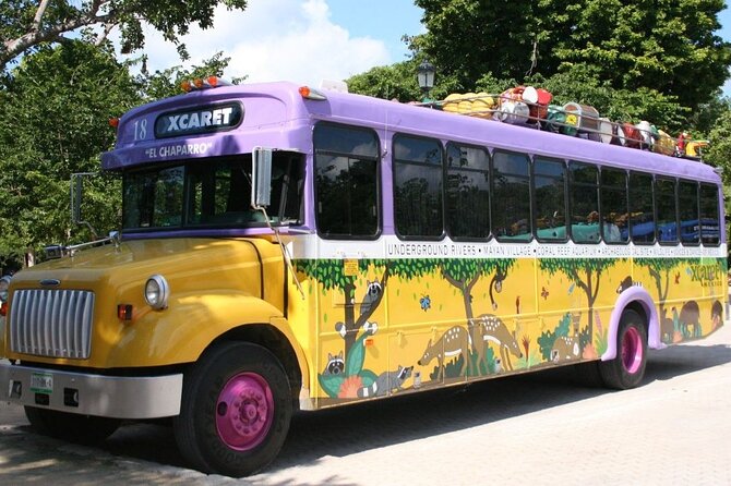 Park Xcaret Plus with Transportation from Cancun and Riviera Maya - What the $255 price really covers