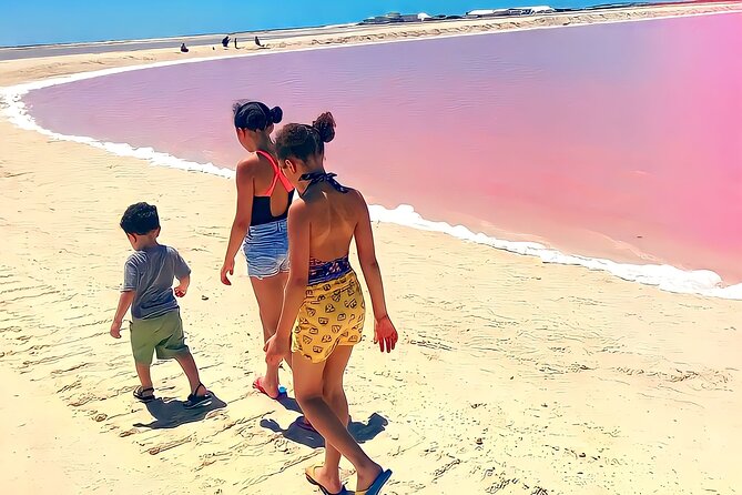 Pinktastic Lagoon Adventure Las Coloradas & Rio Lagartos from Cancun - Las Coloradas and the science behind pink water