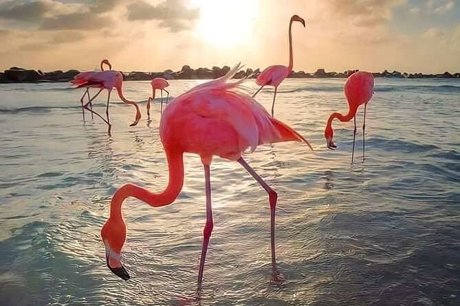 Pinktastic Lagoon Adventure Las Coloradas & Rio Lagartos from Cancun - Starting from Cancun, Playa del Carmen, or Tulum