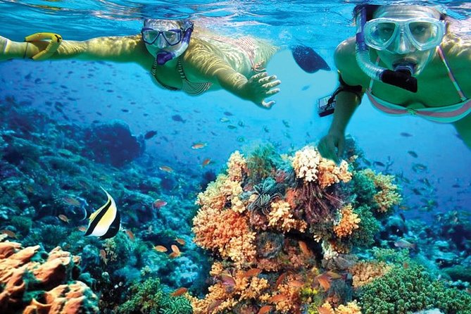 Plus Experience Isla Mujeres Tour - Practical details that can save you trouble
