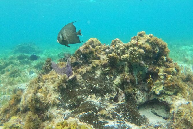 Premium Isla Mujeres Tour by Private Catamaran - Who will get the most from this tour