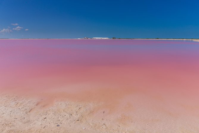 Private Chichen Itza, Cenote Ik Kil, Rio Lagartos & Las Coloradas - Why this route is such a demanding day