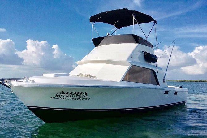 Private fishing charter Bertram 31ft 6 pax max if you don't fish you don't pay - Finding Cancun Sunset Marina at Kilometer 5.8