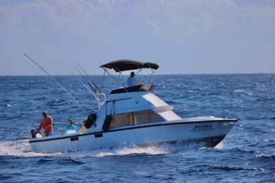 Private fishing charter Bertram 31ft 6 pax max if you don’t fish you don’t pay