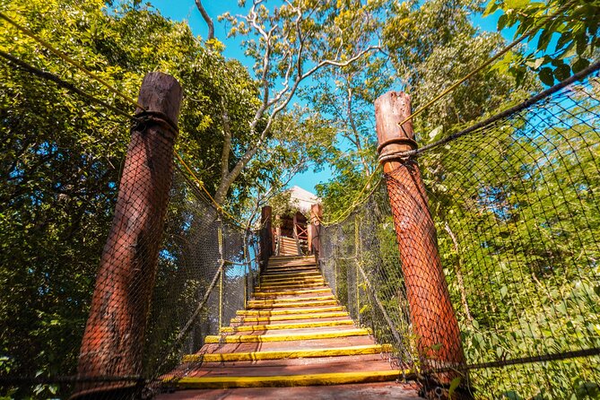 Private Jungle Adventure tour: Zipline + Rappel + Cenote - Leaving Cancun for the Yucatan jungle