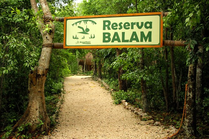 Private Jungle Adventure tour: Zipline + Rappel + Cenote - A guide-led outing with room to personalize