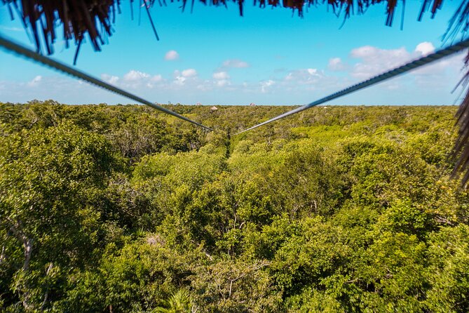Private Jungle Adventure tour: Zipline + Rappel + Cenote - What is included, and what you still need