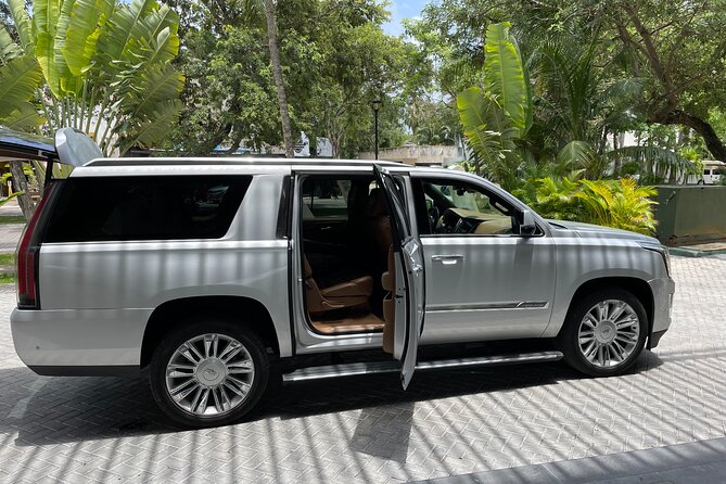 Private Luxury Transfer from Airport to Playa del Carmen - Who will enjoy this airport-to-resort service most