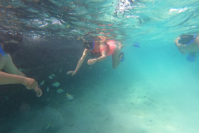 Private MUSA Snorkeling Experience at Isla Mujeres and Cancun - A private boat changes the whole mood