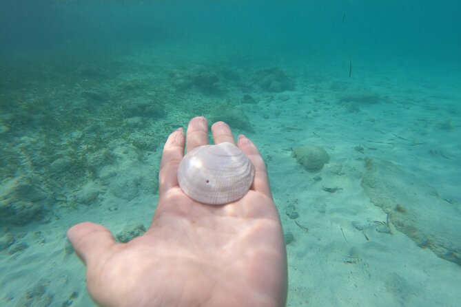Private MUSA Snorkeling Experience at Isla Mujeres and Cancun - Snorkeling gear, fish, and a flexible pace