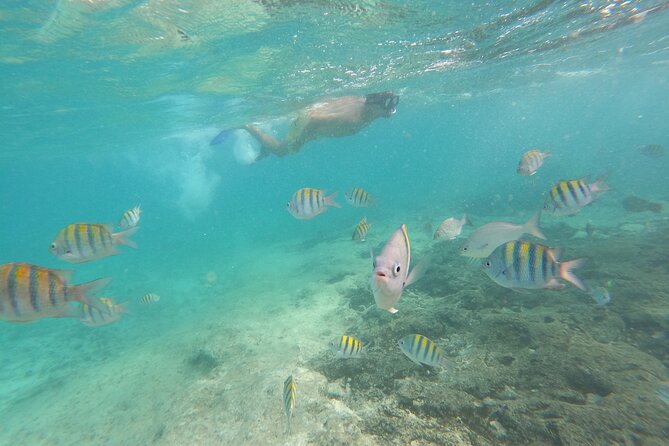 Private MUSA Snorkeling Experience at Isla Mujeres and Cancun - The swimming stop gives you room to relax