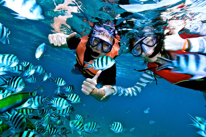 Private MUSA Snorkeling Experience at Isla Mujeres and Cancun - Guides make the private format worthwhile