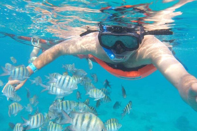 Private MUSA Snorkeling Experience at Isla Mujeres and Cancun - Cancun pickup or an easy Isla Mujeres meeting point