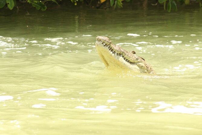 Private Rio Lagartos Flamingo and pink lakes - Who Will Enjoy This Day Most