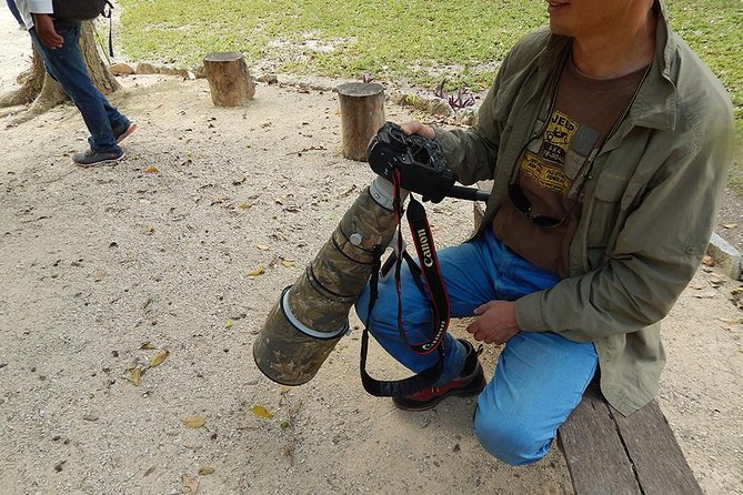 Private Tour: Birdwatching from Cancun - Why the 5am start matters in Cancun