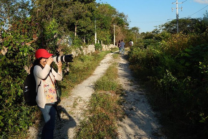 Private Tour: Birdwatching from Cancun - What the guides add to the morning