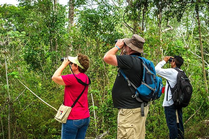 Private Tour: Birdwatching from Cancun - Into the Mayan jungle