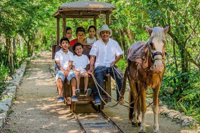 Private Tour: Tulum and Cave Adventure from Cancun - What makes the private format worth the price