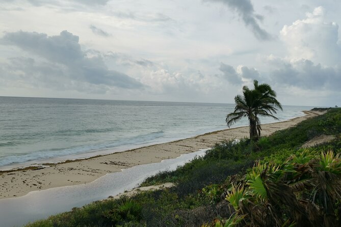 Private Transfer-Cancun Airport-Playa del Carmen One Way - Why a private vehicle can be worth $79.99