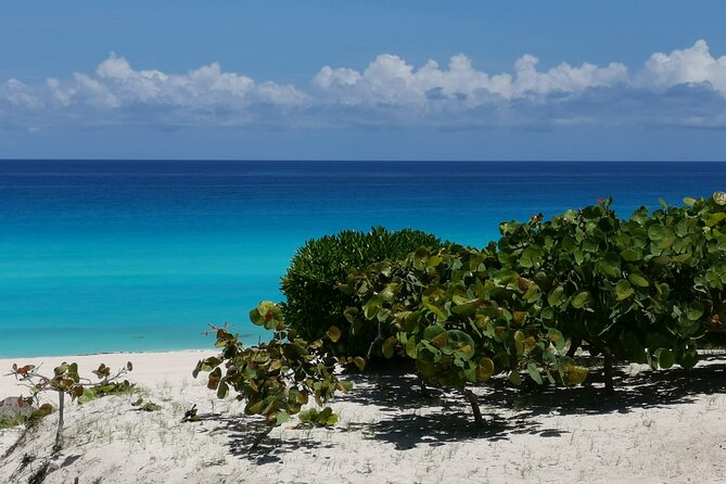 Private Transfer-Cancun Airport-Playa del Carmen One Way - Arriving at your Playa del Carmen accommodation