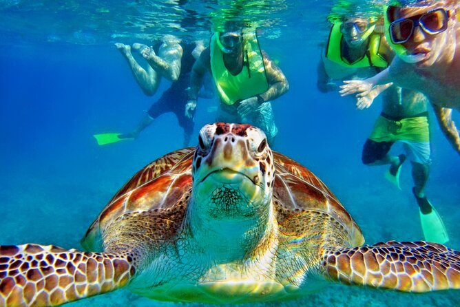 Private Tulum Mayan Ruins & Swimming with Turtles Experience - Small details that make the day easier