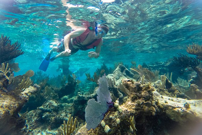Private Tulum Ruins, Reef Snorkel & Cenote Adventure - Why this private Cancun day works