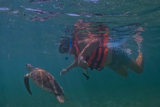 Private VW Beetle Tour Swim with Turtles, Visit Tulum Ruins&Town - Key points to know before booking