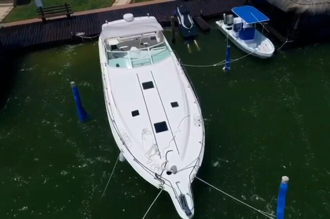 Private Yacht 46ft Sea Ray Snorkel up to 15 pax 23P2 - The yacht, music, and onboard comfort