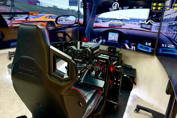 Professional racing simulator - Key points before you book