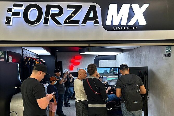 Professional racing simulator - What happens during the 10-minute session