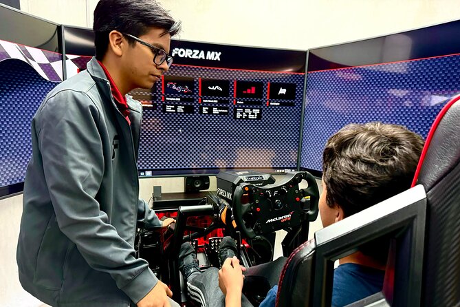 Professional racing simulator - Is 10 minutes enough?