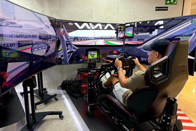 Professional racing simulator - A good fit for F1 fans and first-time drivers