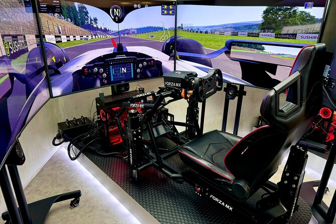 Professional racing simulator - Service, setup, and small practical details