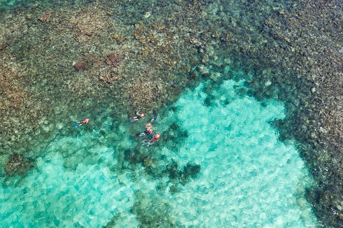 Puerto Morelos Catamaran Reef Sail and Snorkel - Snorkeling the protected reef