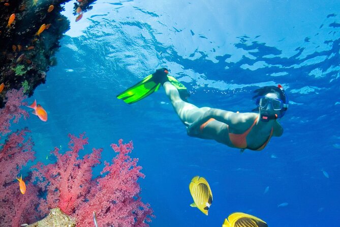 Puerto Morelos Catamaran Reef Sail and Snorkel - The sail to Puerto Morelos National Marine Park