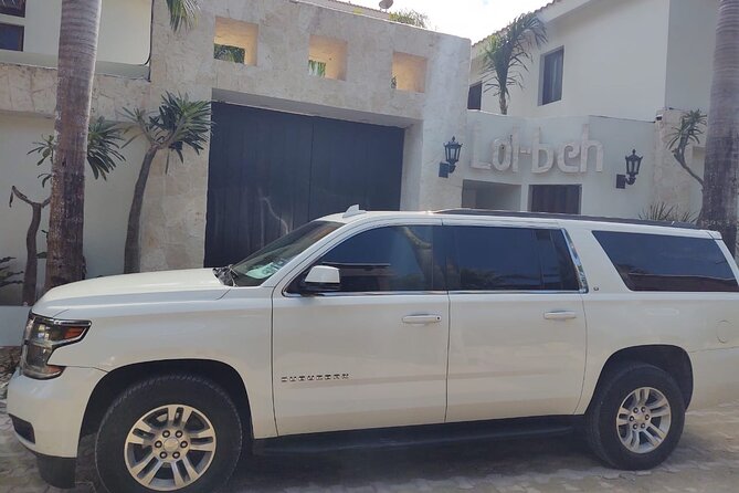 Puerto Morelos Luxury Transportation From & To Cancun Airport - Meeting your chauffeur after the flight